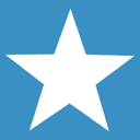 BrightStar Care logo